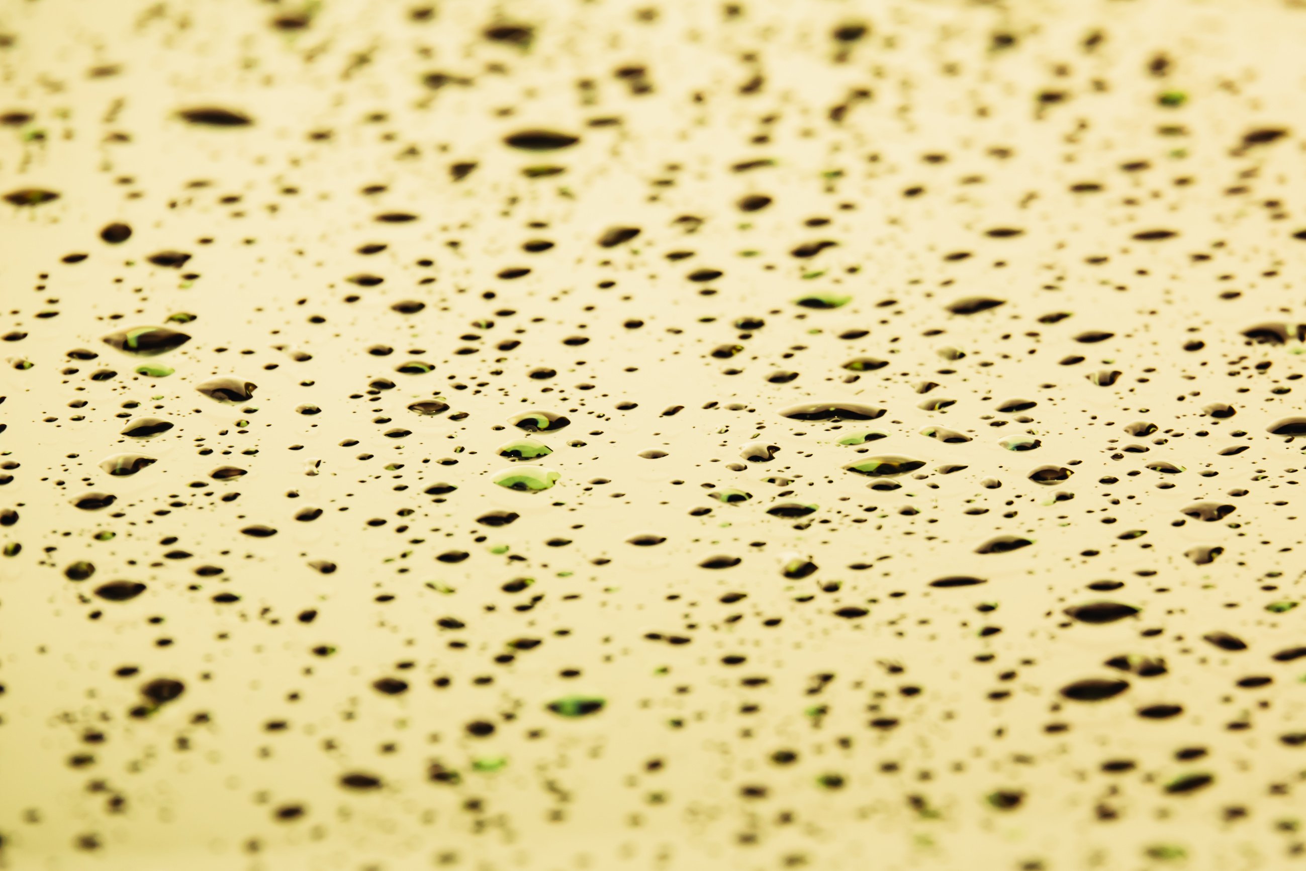 water droplets on glass of car on golden yellow color background